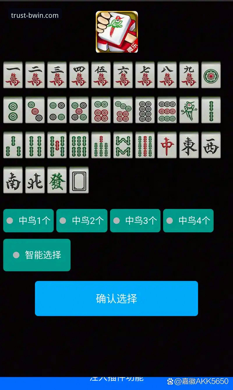 BWIN必赢备用网址官方下载 BWIN必赢平台全方位使用教程:从注册到安全投注的深度指南